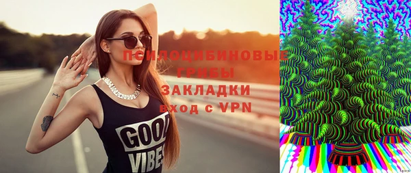 хмурый Армянск