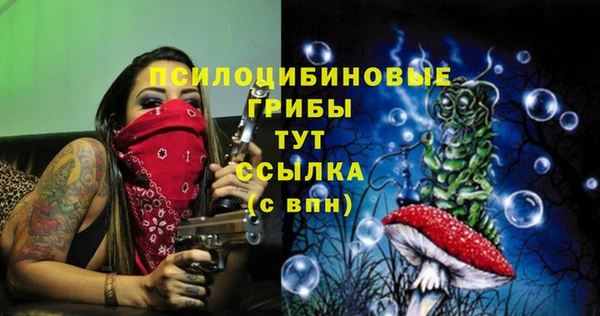 ECSTASY Арсеньев