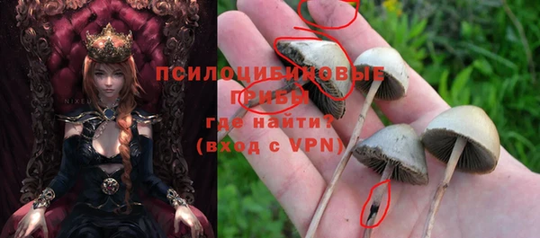 хмурый Армянск