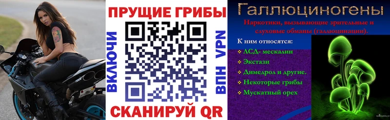 закладки  Спас-Деменск  Галлюциногенные грибы Cubensis 